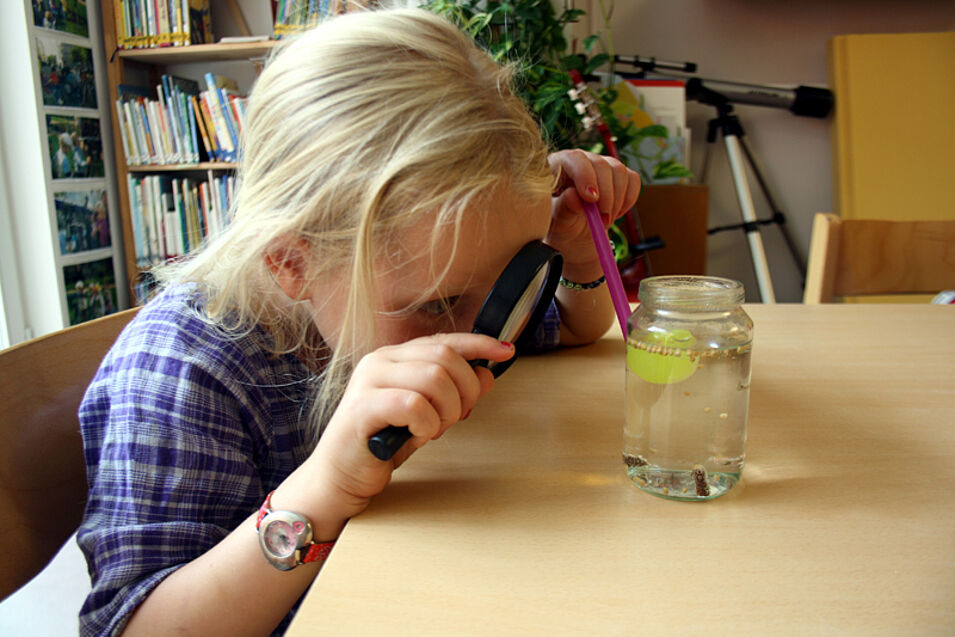 Ein Mädchen beobachtet mit einer Lupe einen Gegenstand im Wasserglas.