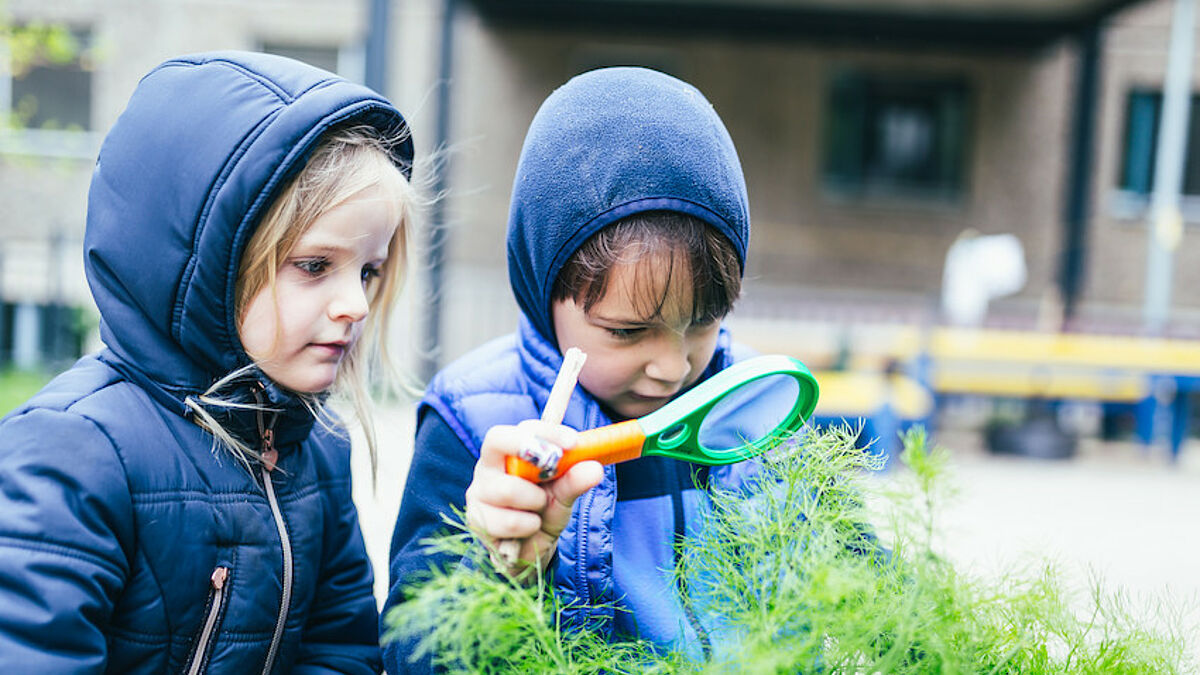Kinder betrachten Pflanzen mit einer Lupe.