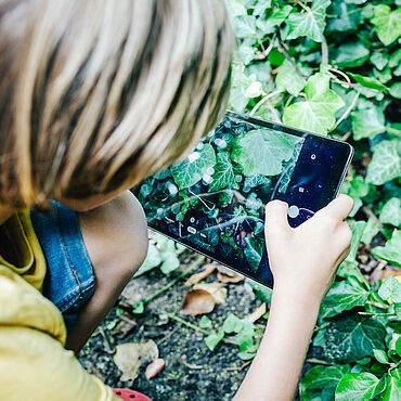 Ein Junge macht ein Foto mit einem Tablet von Efeu-Pflanzen.
