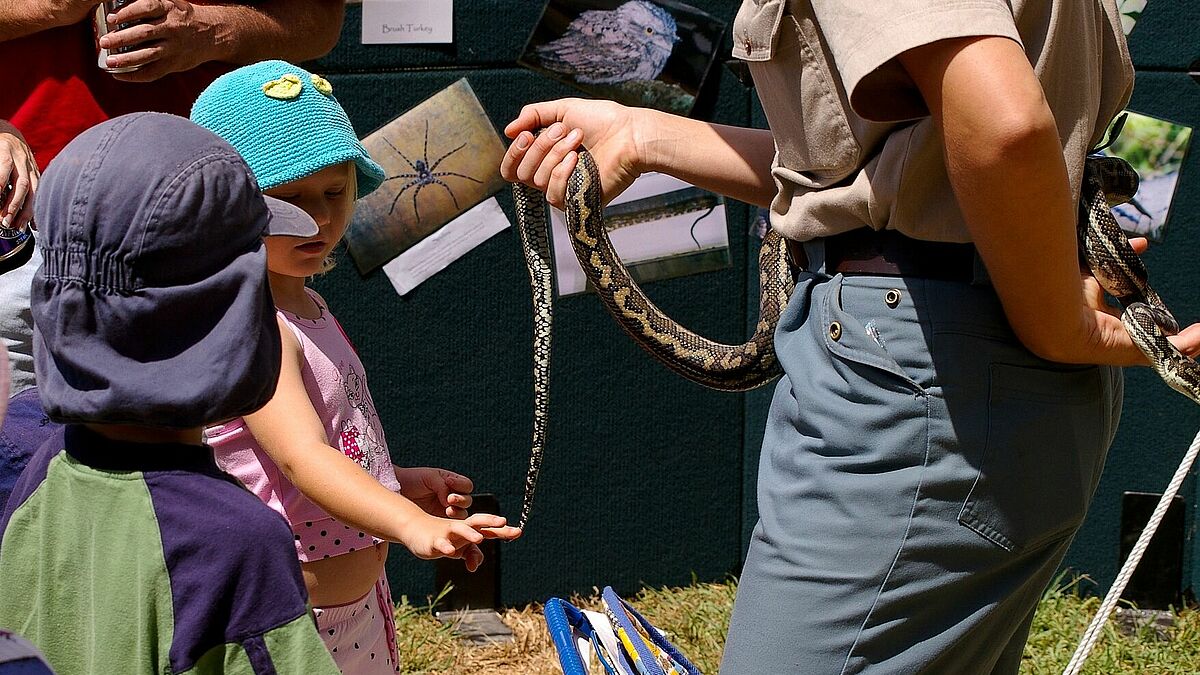 Ranger zeigt Kindern eine Pythonschlange