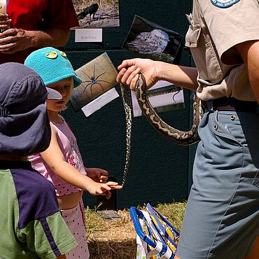 Ranger zeigt Kindern eine Pythonschlange